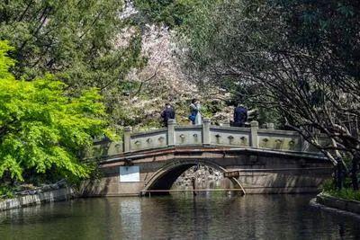 @万科中兴傲舍售楼处电话:顶奢生活之选PG电子麻将胡了2试玩十一月百度热搜(图12) @万科中兴傲舍售楼处电话:顶奢生活之选PG电子麻将胡了2试玩十一月百度热搜(图12)